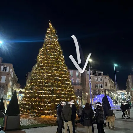 Aux Petits Oignons 公寓 阿尔比