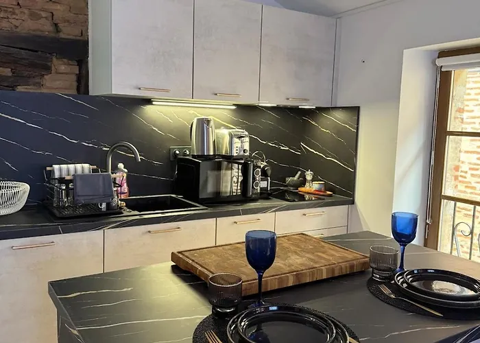 Aux Petits Oignons 阿尔比