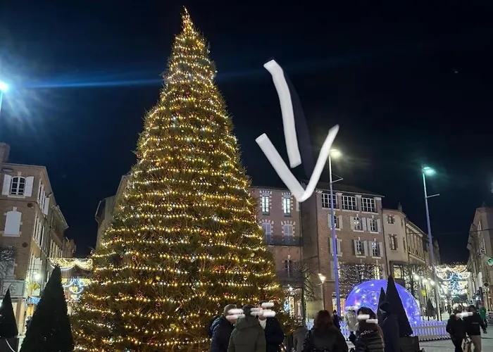 Aux Petits Oignons 公寓 阿尔比