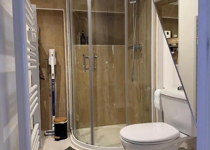 Aux Petits Oignons 阿尔比