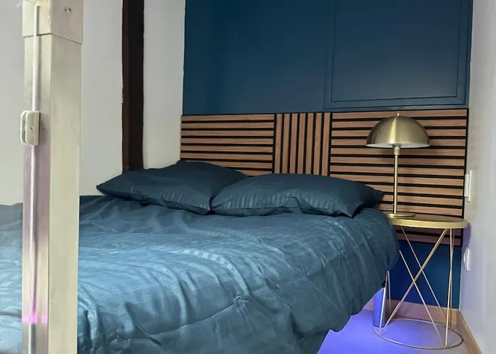 Aux Petits Oignons * 阿尔比